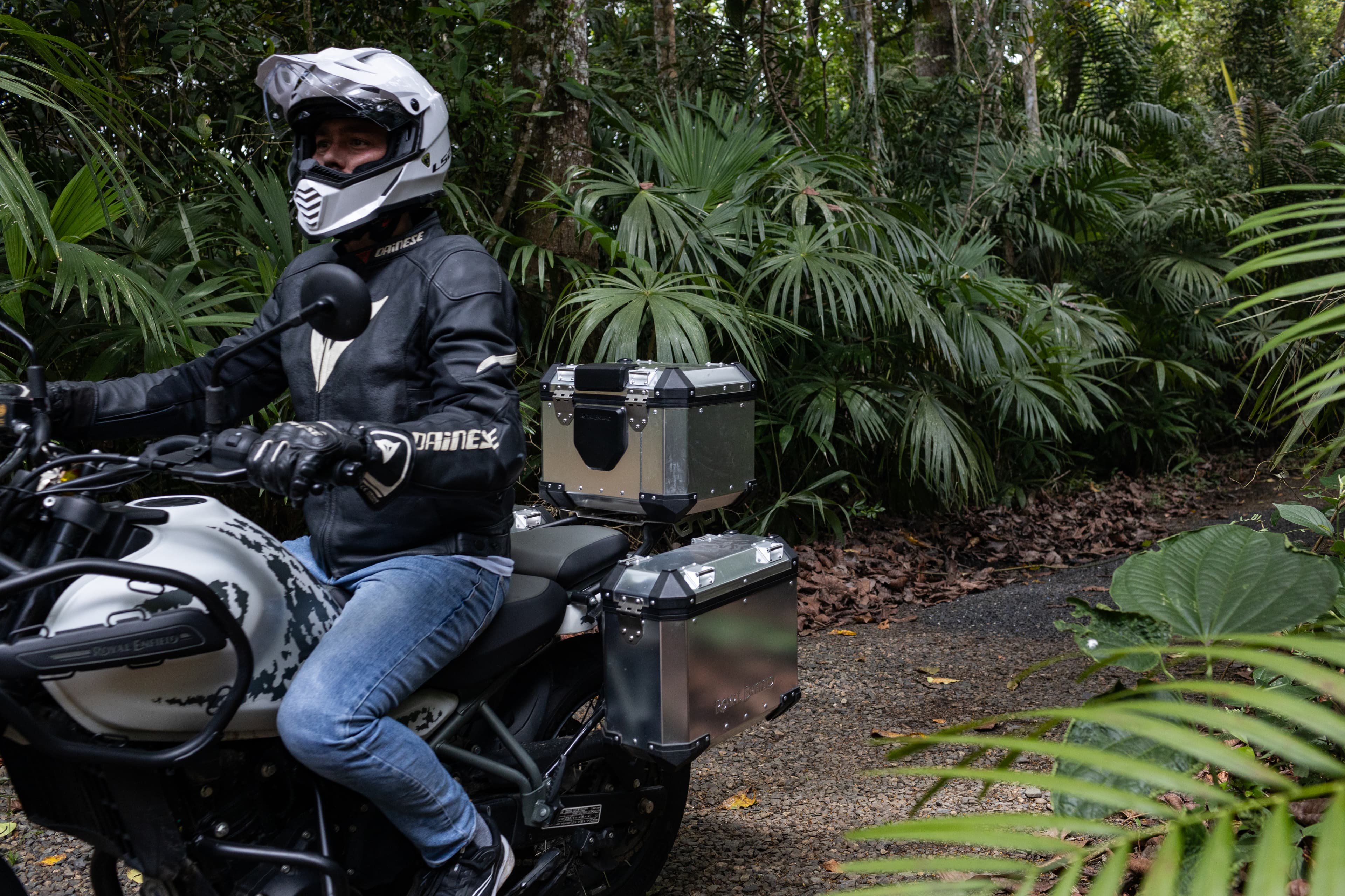 Himalayan 450 Adventure 10